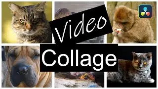 Wie du eine Video Collage in DaVinci Resolve 17 erstellst 🤩 Split Screen - Tutorial [DEUTSCH]