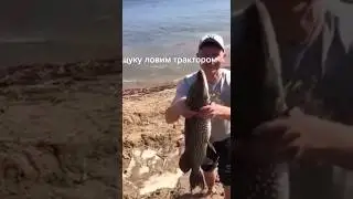 Поймал щуку Трактором!!! Как поймать щуку.