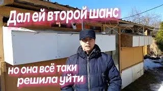 2 ГОДА НАЗАД КРОЛЬЧИХА СЪЕЛА КРОЛЬЧАТ ПОЭТОМУ КРОЛЬЧИХУ В ЗАБОЙ Кролики содержание и разведение