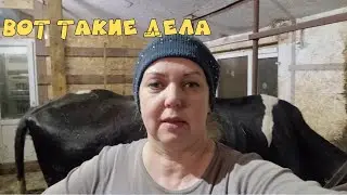 Была Ветврач, прогноз по корове. Коз перетусовала. Думаю, что я всё же сделала.