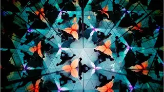 teamLab Forest Fukuoka: Where the wild things are