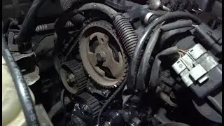 Замена ремня ГРМ, помпы, роликов и ручейкового ремня Peugeot 407