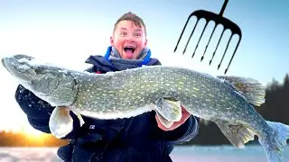 Minnesota Darkhouse Spearing for Big Northern Pike