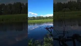 Рыбалка на живца в жару летом. Ловля щуки на поплавок. 