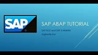 SAP ABAP: RSECADMIN (Manage Analysis Authorizations)