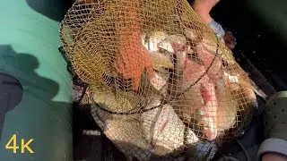 Рыбалка с лодки на (яйца). Ахтуба 2022.