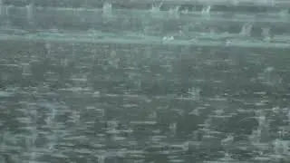 RAIN VIDEO FOOTAGE FREE - RAIN STOCK FOOTAGE | FREE HD VIDEO - NO COPYRIGHT 37
