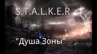S.T.A.L.K.E.R  