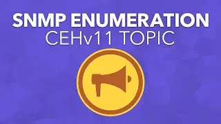 SNMP Enumeration