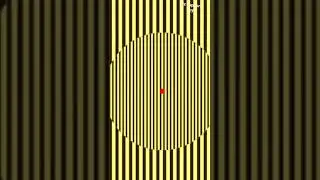 optical illusion that make you see things