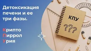 Крипторирролурия. Детоксикация и ее три фазы. Маша Френкель.