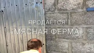 28 км. От Ростова. Хутор Весёлый. Где жить? Чем заниматься?