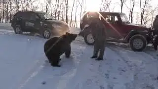Такими нас видит и знает Нато