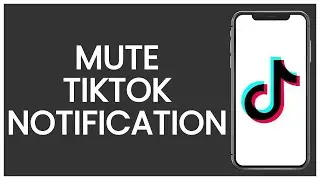 How to Mute TikTok Notifications | TikTok Guide