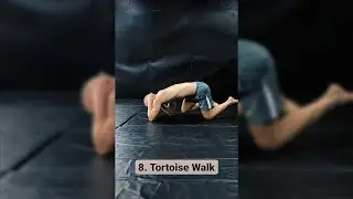 New 10 Different Animal Walk Exercises