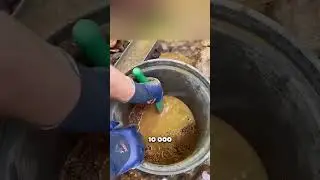 Русский мужик добывает Чешское золото 😱