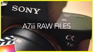 Importing Sony A7iii RAW Files Into FCPX 10.4