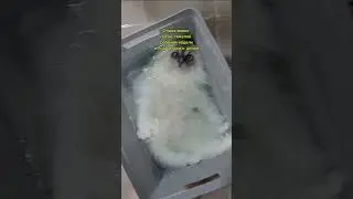 Отдых мамы в последние дни перед школой