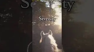 Trail Riding With Legend ☀️