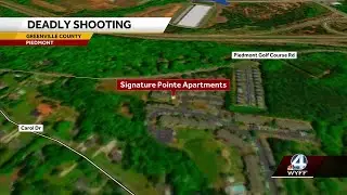 At least 1 dead, 2 injured in Upstate shooting