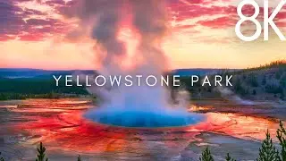 Yellowstone National Park USA in 8K ULTRA HD - Travel Video