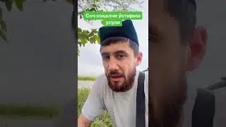 Соч сокол устириш учун кип куринг