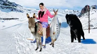 Village Lifestyle Iran: Amazing Fish Cooking & Donkey Riding By A Girl