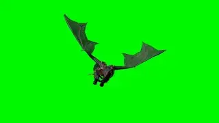 Dragon Flying Effects Green Screen animation Video