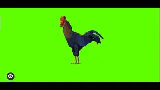 Rooster idk | Green Screen Rooster cartoon character | Green Screen | 