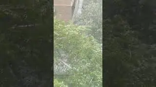 ✅Заметает....