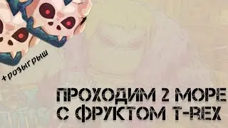 ПРОХОДИМ 2МОРЕ С ФРУКТОМ T-REX | BLOXFRUITS|