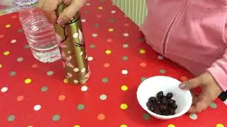 Մասուրի թեյ masuri tey (ինչպես  ճիշտ թրմել մասուրը)