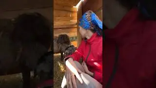 Девочка, которую любил весь мир🤍(подписчица прислала это милое видео)