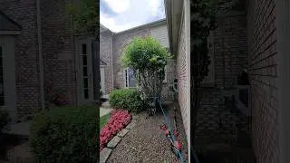 The 100% ABSOLUTE EASIEST Way to Remove Shrubs, Sawzall, Rope, Truck