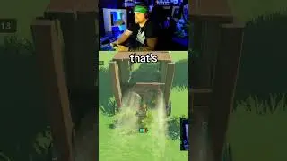 Hyrule Pest Control