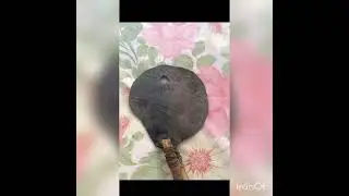 Хорошего настроения!