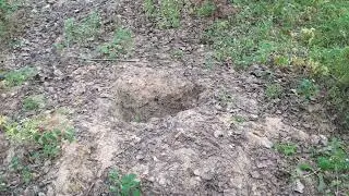 Мамукин туалет