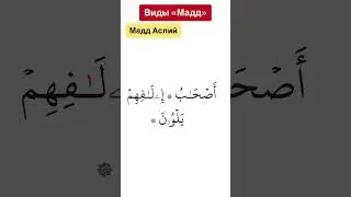 Мадд аслий