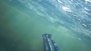 подводная охота
