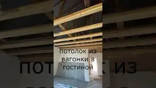 Потолок из вагонки в гостиной