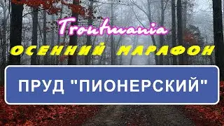 Troutmania: Осенний марафон. Пруд "Пионерский"