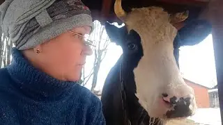 Деревня/ Релакс/ КУДА Я ТУДА И СКОТИНА)))