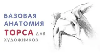 С чего начать изучение анатомии?