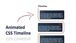 How To Create a Vertical Timeline Using HTML & CSS