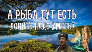 РУССКАЯ РЫБАЛКА 4 РР4  🔴 ЗАБЕЖИМ НА р. СЕВЕРСУКИЙ ДОНЕЦ • МАХ • МОЖЕТ ПОВЕЗЁТ 🎣 ДАЛЬШЕ ПОСМОТРИМ )