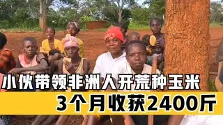 中國小夥去非洲創業，帶領非洲黑人開荒種玉米，3個月收穫2400斤