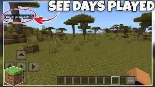 How to Show Days Played in Minecraft - Quick Tutorial