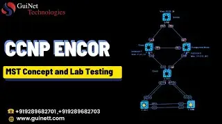 CCNP ENCOR--MST Concept and Lab Testing.Understand Everything about Multiple Spanning Tree Protocol.