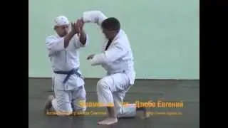 Айкидо Дзюба 1 кю 2013