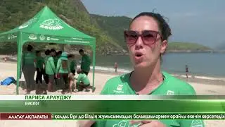 Бразилияда емдік мақсатқа тасбақа аулау жобасы қолға алынды